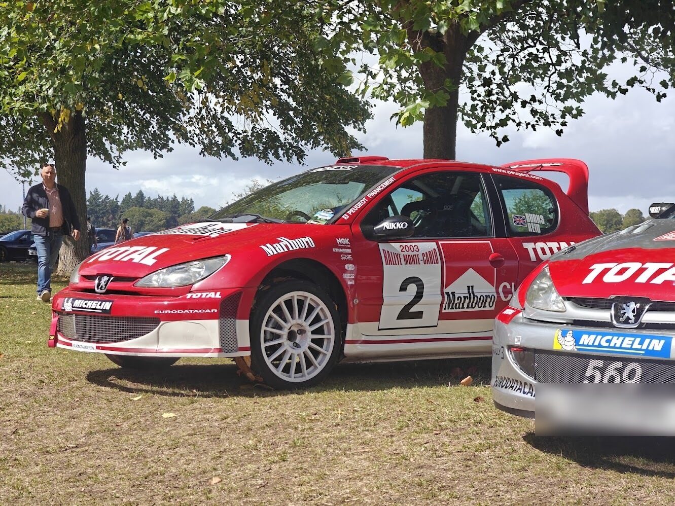 Peugeot 206 WRC in 2003 works livery, side profile at an outdoor event